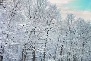 Avoid the common winter car problems. Bring your vehicle to Country Road Auto in Lincoln Park, NJ.